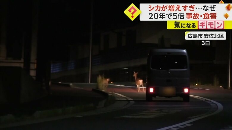 3日の映像。シカが車から離れていく