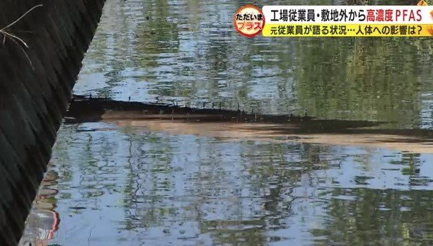 工場周辺の水路