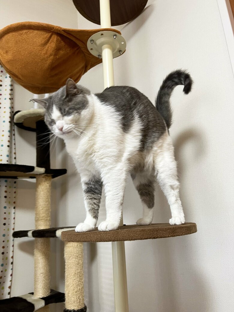 提供：いずもん/まろ様さん