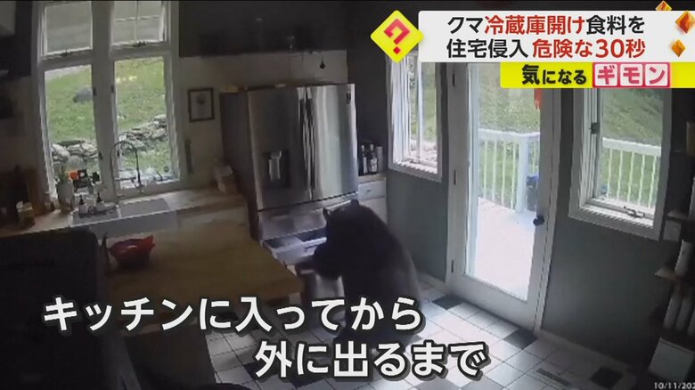 クマがキッチンに入ってから出て行くまでにかかった時間は、わずか30秒