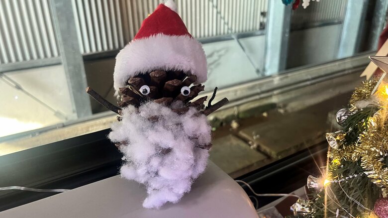 サンタクロースは松ぼっくり