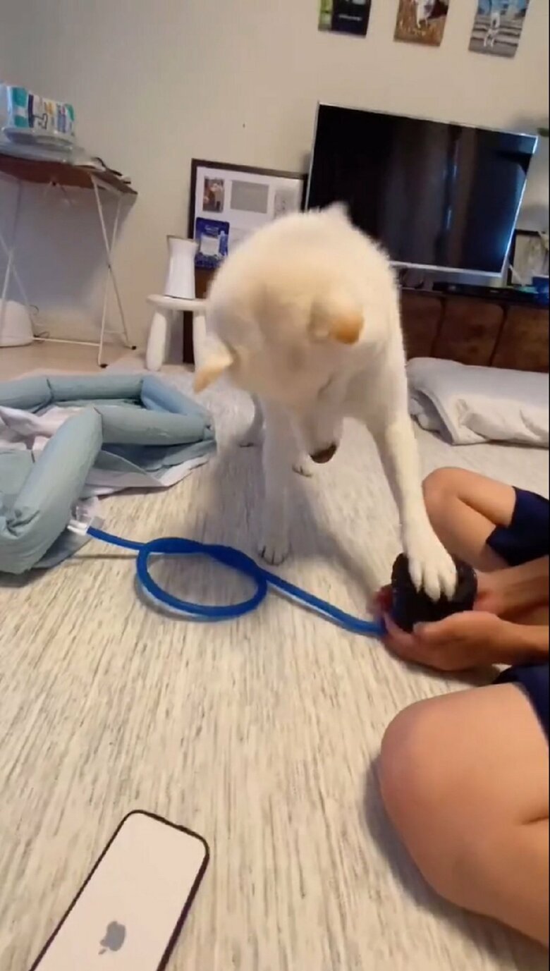 だい吉くんはポンプに左前足をかけ