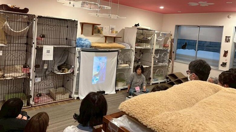 野良猫の不妊手術について伝えるセミナーの様子