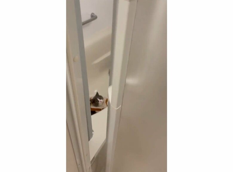 お風呂の扉を開けると…（提供：コテツとまるさん）