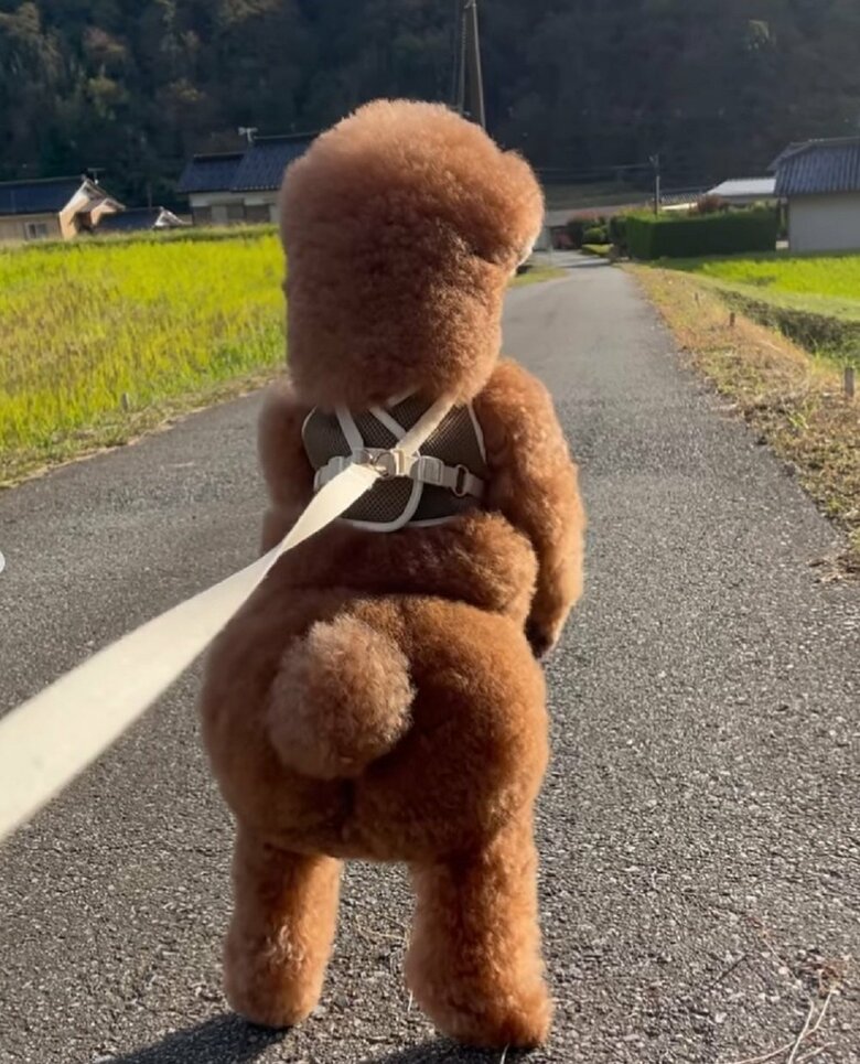 背筋ピーン