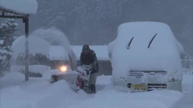 岡山県北の山沿いは大雪　香川・小豆島「お猿の国」では寒くなるにつれ徐々に大きくなる“サル団子”