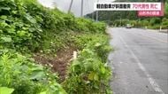 運転代行中の軽自動車が道路横の斜面に衝突・74歳のアルバイト従業員死亡　山形市新山・国道286号