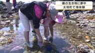 ナマコに「むにゃむにゃしてる！」子どもたちが大興奮　磯の生きもの観察イベント開催　カニやナマコに触れて“海の世界”を体感　和歌山・太地町
