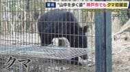 神戸市でクマ“初出没”　ツキノワグマの成獣か　「天橋立」でも新しいクマの目撃情報　一時通行止めに