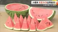 甘くておいしいスイカが出来ました！ＪＡ鹿本で大玉スイカの出荷始まる【熊本】