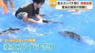 「垂水カンパチ祭り」延期　原因はホルムズ海峡封鎖での重油不足、漁協「いつか必ず開催したい」