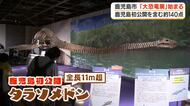 鹿児島市で「大恐竜展２０２６」始まる