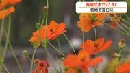 10月スタートは季節外れの暑さ、高岡伏木で27.8度　週末は秋晴れ続く見込み【気象予報士 解説】