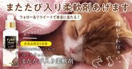 エイプリルフールに企業のネタ投稿が続々…「猫のためのマタタビ入り柔軟剤」は1年前のうそを実現!?