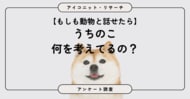 【動物と話せたら？】8割超が選んだのは珍しい動物より「身近な動物の本音」　6,832人に聞いてみた【SEO・AIO時代に効く一次データ・アンケート調査受託】