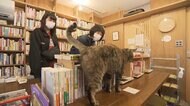 猫専門書店が猫助け “酔狂”な店主の思いとは