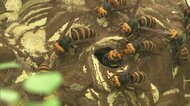 “スズメバチハンター”に密着 初秋は特に攻撃性が高く刺される時期…ハチが近づいてきたら?もしもの時の対処法【福島発】