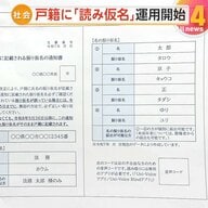 【解説】戸籍に「読み仮名」26日運用開始　“キラキラネーム”に制限も…漢字の意味との関連性が判断基準　間違いある場合“1年以内”に届出必要