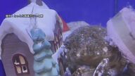 サンタさんも「ちょっと怖いよ…」押しが強い！？カニがぐいぐい　クリスマス演出水槽で珍行動【鳥取発】