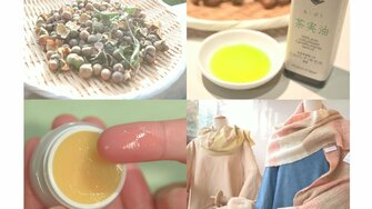 食用オイルやスキンケア商品にも 茶の実 が変えるお茶の未来 自然の恵みを100 生かしたい 岐阜発