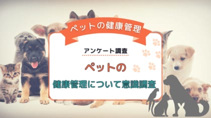 ペットが元気に過ごすためにどんな健康管理をしていますか?男女232名を対象にアンケート調査を実施
