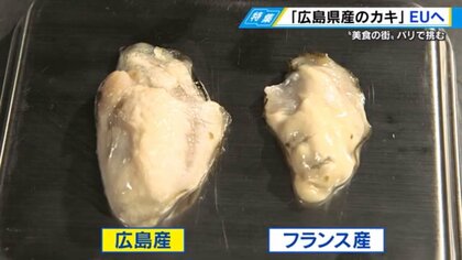 【広島のカキ、フランスでも人気】肉厚なので焼いてもOK　日本酒とのマリアージュは最高　ペアで欧州輸出拡大