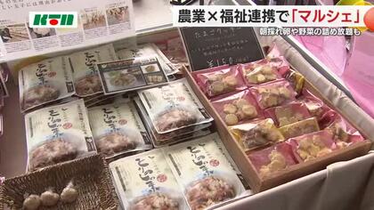 農業と障害者福祉をマッチング 「農福連携マルシェ」を開催 新たな担い手に障害者の活躍期待