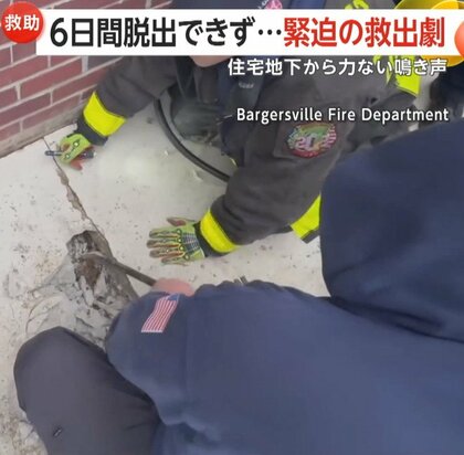住宅地下から「ニャ～」の鳴き声…6日間脱出できない猫　コンクリート打ち砕き緊迫の救出劇…飼い主捜索中　アメリカ・インディアナ州