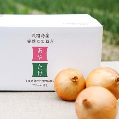 今が旬の新たまねぎ、そしてたまねぎの価格はいずれも前年比10%以上アップ