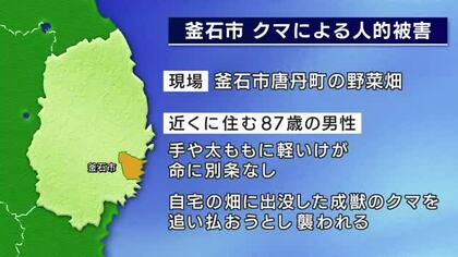 87歳男性、クマを追い払おうとするも襲われけが　自宅の野菜畑　岩手県釜石市