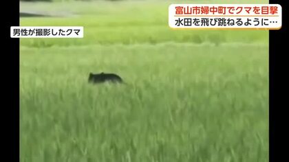 目の前の道路にクマ とっさにカメラを回し撮影「水田を飛び跳ねるように走っていった」富山市婦中町小長沢