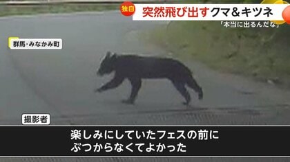 独自】「本当に出るんだ」突然飛び出すクマ＆キツネ…群馬の山道で体長