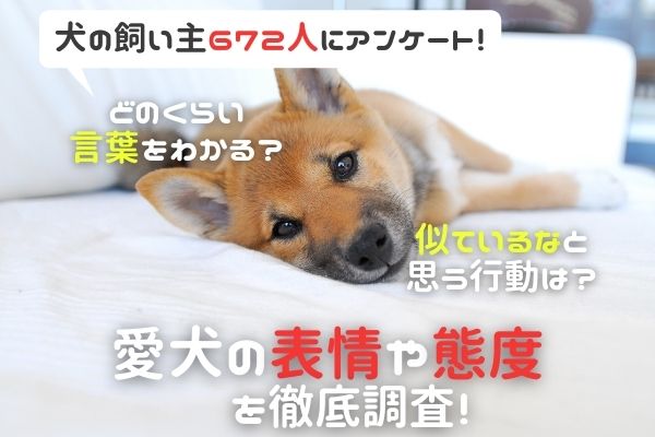 犬は飼い主に似る 人間みたいな行動をするわんちゃんも 飼い主672人アンケート 不機嫌な表情になる言葉や行動などを徹底調査