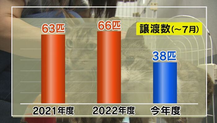 参加者低調で譲渡数も減少