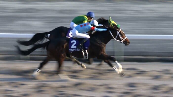 去年のチャンピオンズC・GⅠを制したダブルハートボンド