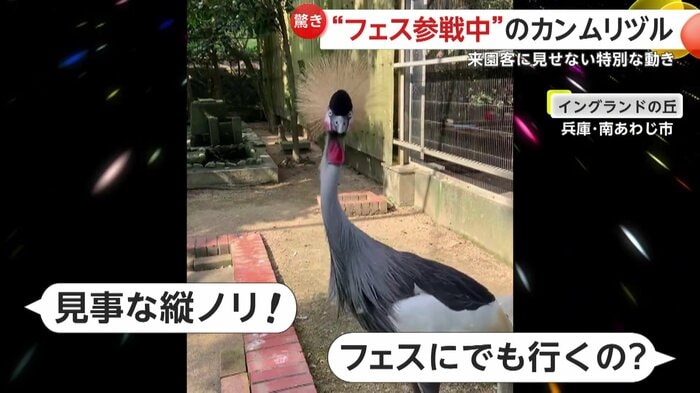 縦ノリする「つゆ」(提供:淡路ファームパークイングランドの丘)