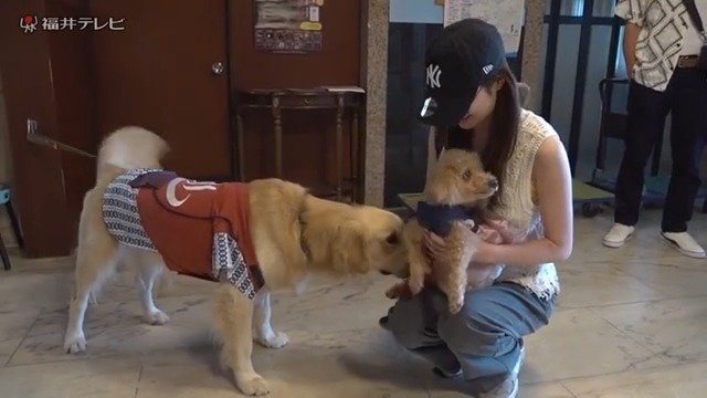 浴衣姿でお出迎え