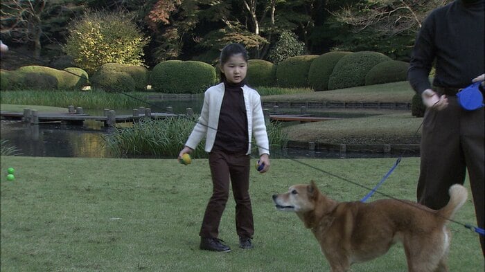 ピッピとまりと一緒に遊ぶ愛子さま 2007年11月 宮内庁提供