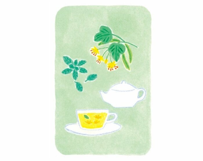 『別冊 天然生活』から抜粋(イラスト:カトウミナエ)