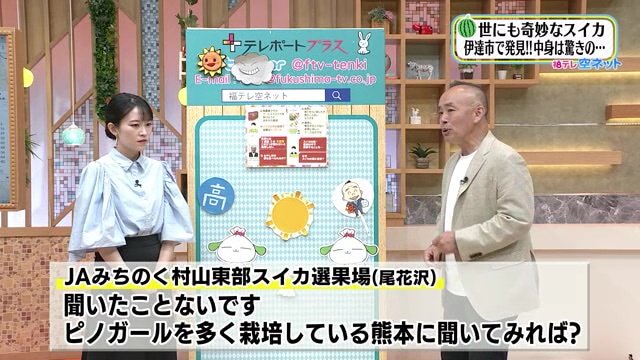 スイカの名産地からは「当該品種を栽培している熊本県に聞いてみては?」