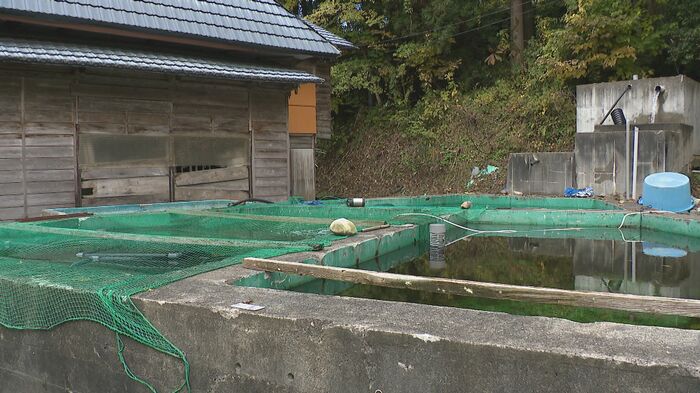 クマが現れた養鯉池