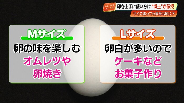 目的に合わせたサイズ選択の例
