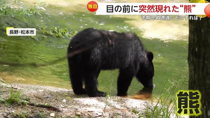 目の前に現れたというクマ(野鳥いずみ)(FNN投稿サイト「ビデオPost」)