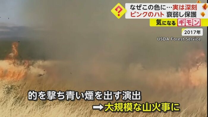 的を銃で撃って青い煙を出すという過激な演出が山火事に…