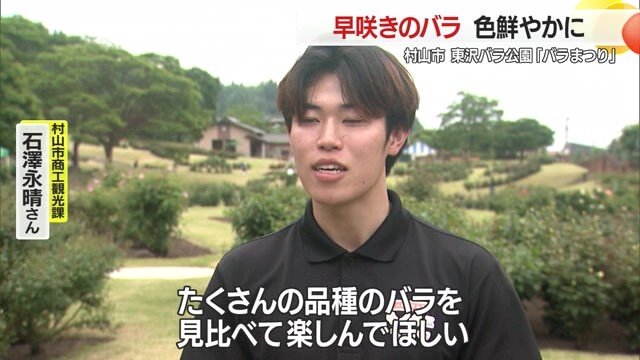 「いろいろなバラを見比べて楽しんでほしい」と語る村山市商工観光課・石澤永晴さん