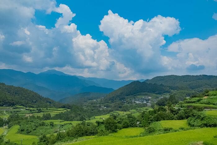 高知県　吉延の棚田（2025年8月撮影）