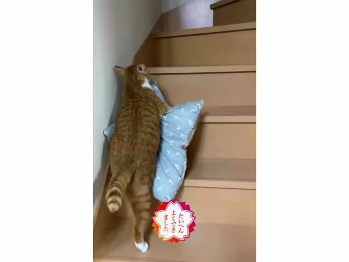 提供:赤瀬川和寿さん