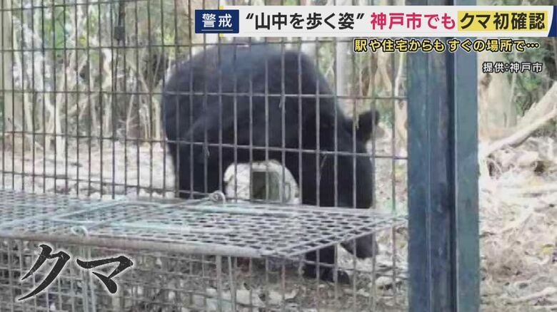 神戸市でクマ“初出没”　ツキノワグマの成獣か　「天橋立」でも新しいクマの目撃情報　一時通行止めに｜FNNプライムオンライン