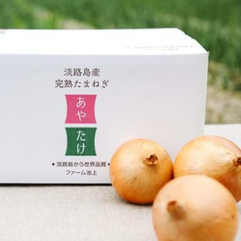 今が旬の新たまねぎ、そしてたまねぎの価格はいずれも前年比10%以上アップ