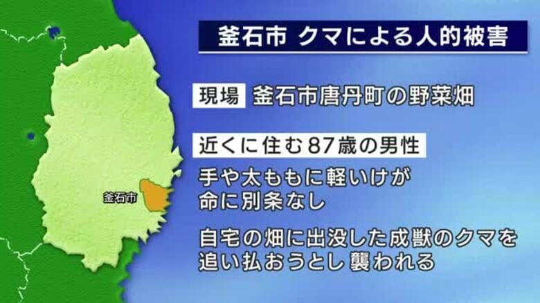 87歳男性、クマを追い払おうとするも襲われけが　自宅の野菜畑　岩手県釜石市｜FNNプライムオンライン